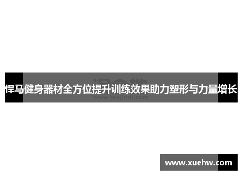 悍马健身器材全方位提升训练效果助力塑形与力量增长